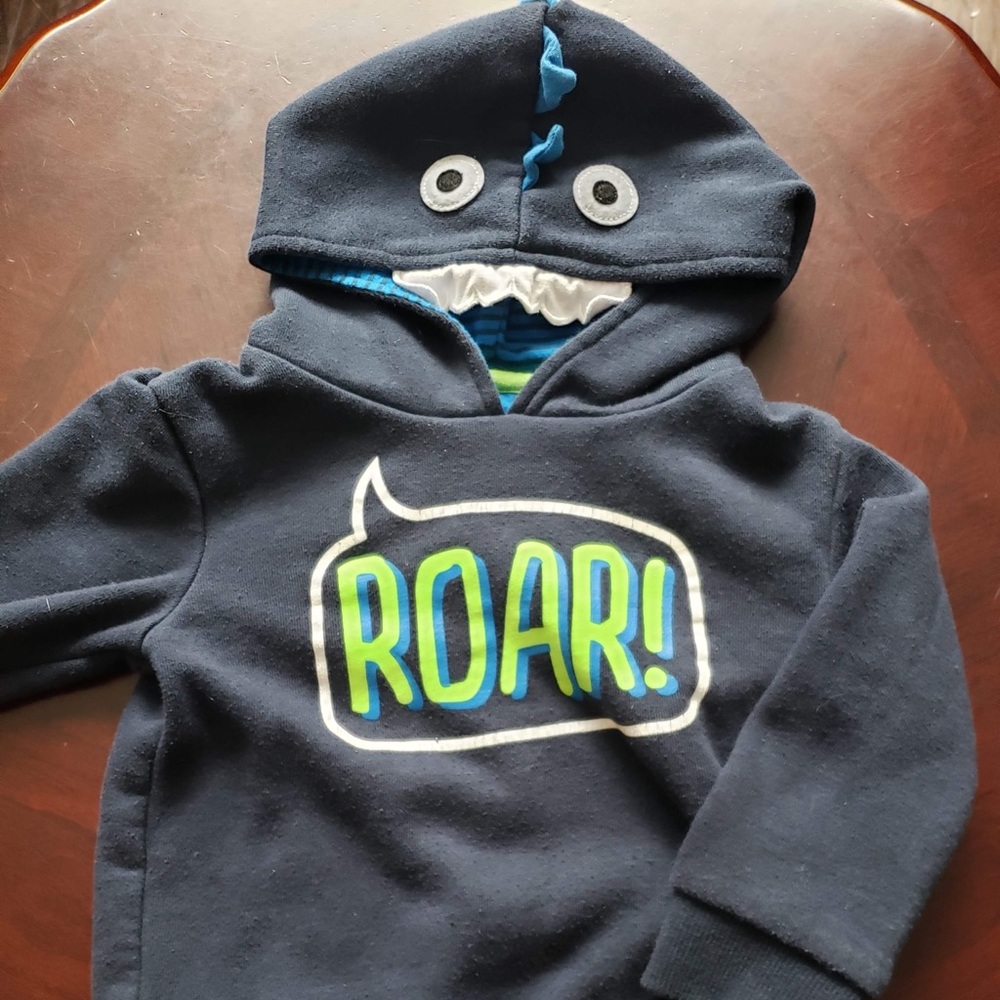 ROAR! hoodie